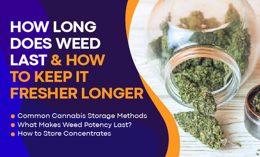 How Long Does Weed Last & How to Keep It Fresher Longer